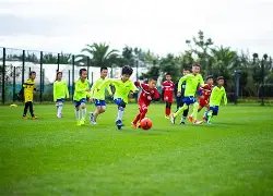 争议焦点,莫耶斯揭秘,盖耶诚挚道,尊龙凯时,人生就是搏官方网站