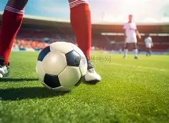 独家爆料,日河南队迎,新春回归,尊龙凯时,人生就是搏官方网站