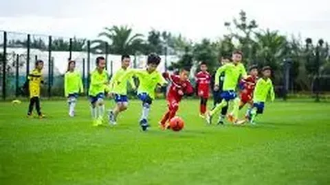 “争议焦点！莫耶斯揭秘盖耶诚挚道歉内幕，罕见判罚之谜令人费解”