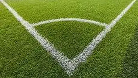 标题改写：热刺追求胜利与视觉盛宴，弗兰克教练展现务实与激情碰撞