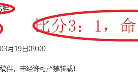 “2025年1月16日，中国少体协盛大开启国内最长马术赛事”